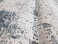 20191005_134824.jpg