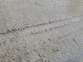 20210617_102841.jpg