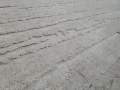 20210617_102844.jpg
