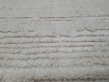 20210617_102856.jpg