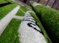 20150227_162954.jpg