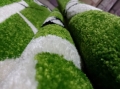 20150227_163010.jpg