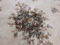 20160930_091932.jpg