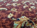 20180305_113052.jpg