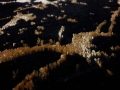 20201103_130249.jpg