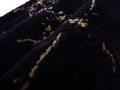 20201103_130352.jpg