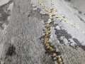 20201103_125218.jpg
