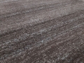 20170210_092600.jpg