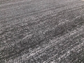 20170210_093249.jpg