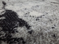 20171004_095539.jpg