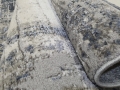20201123_130936.jpg