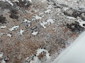 20220606_121905.jpg