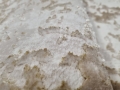 IMG-20230804-WA0011.jpg