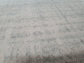 20210617_105240.jpg