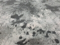 20210617_104414.jpg