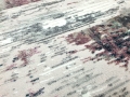 IMG-20240202-WA0006.jpg