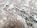 IMG-20240425-WA0001.jpg