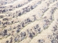 IMG-20240805-WA0054.jpg