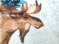 IMG-20241010-WA0041.jpg
