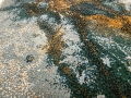 IMG-20250417-WA0012.jpg