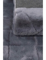 508813_c.jpeg